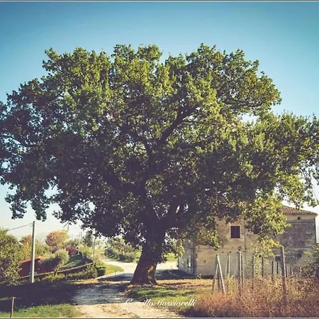 Colle Tripio Farm stay Guardiagrele