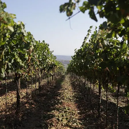 Farm stay Colle Tripio Guardiagrele