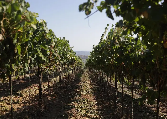 Vakantieboerderij Colle Tripio Guardiagrele